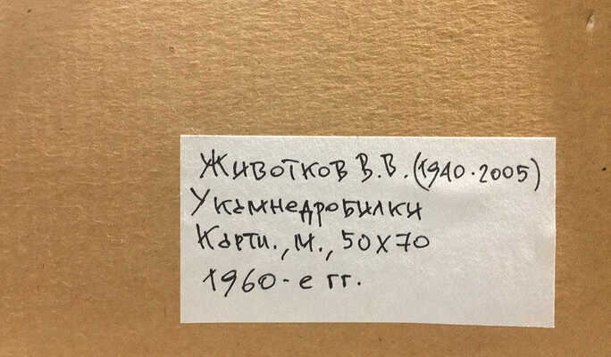 Животков Владимир Владимирович. У камнедробилки